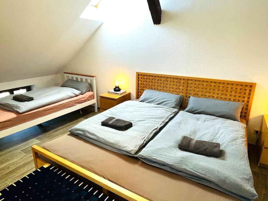 P6 - Familienwohnung Am Park Und Saale Галль Экстерьер фото