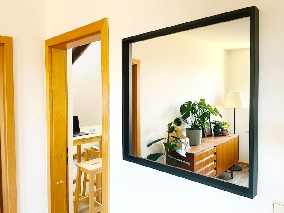 P6 - Familienwohnung Am Park Und Saale Галль Экстерьер фото