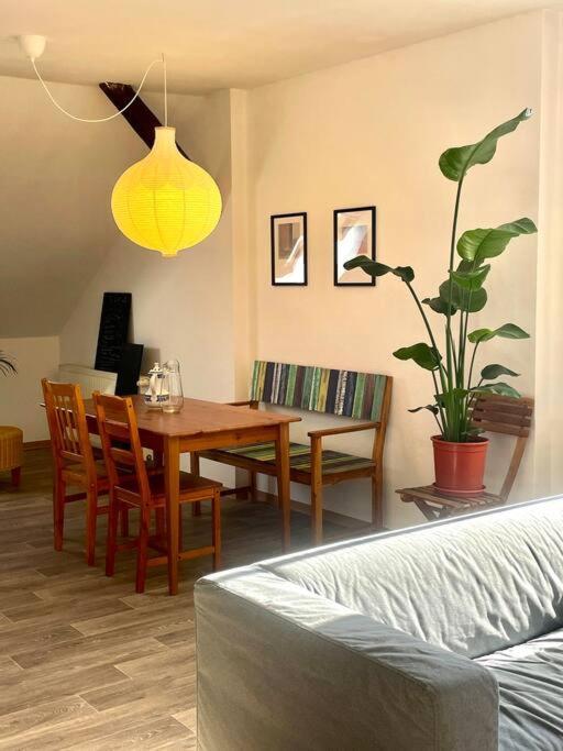 P6 - Familienwohnung Am Park Und Saale Галль Экстерьер фото