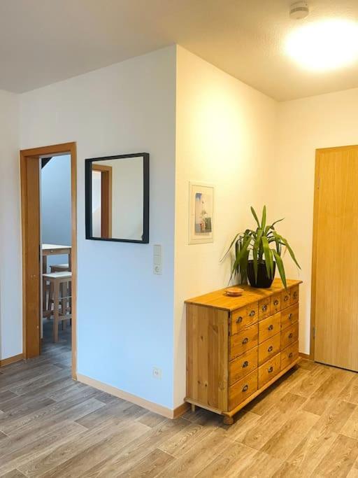 P6 - Familienwohnung Am Park Und Saale Галль Экстерьер фото