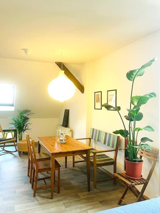 P6 - Familienwohnung Am Park Und Saale Галль Экстерьер фото