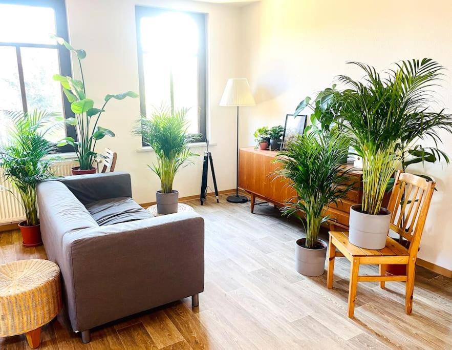 P6 - Familienwohnung Am Park Und Saale Галль Экстерьер фото