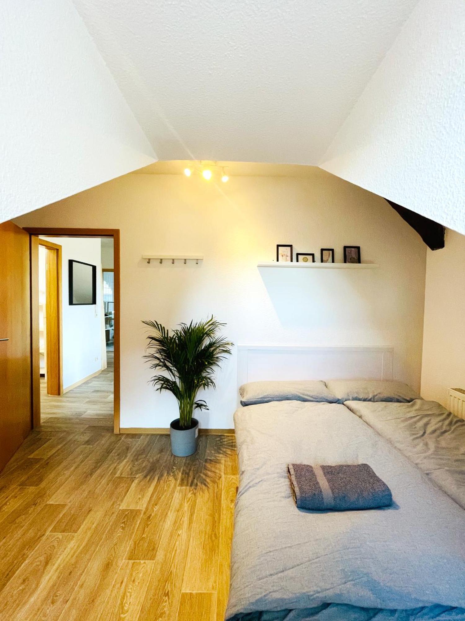 P6 - Familienwohnung Am Park Und Saale Галль Экстерьер фото