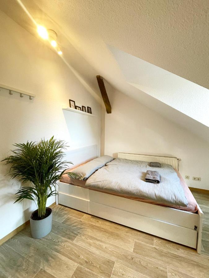 P6 - Familienwohnung Am Park Und Saale Галль Экстерьер фото