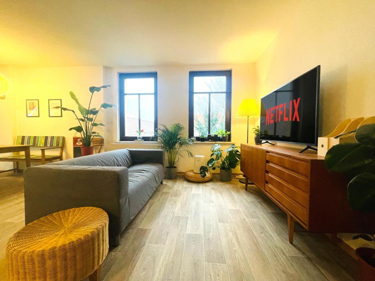 P6 - Familienwohnung Am Park Und Saale Галль Экстерьер фото