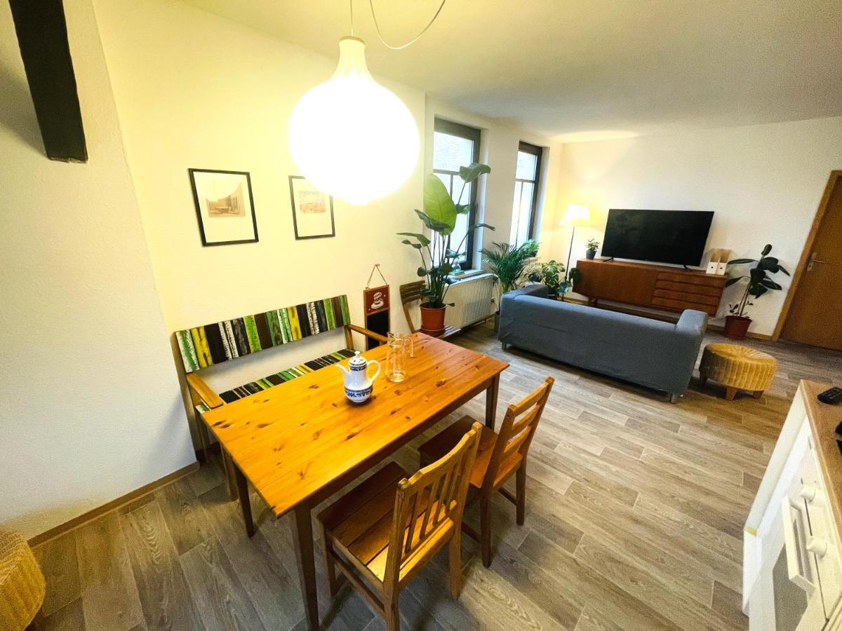 P6 - Familienwohnung Am Park Und Saale Галль Экстерьер фото