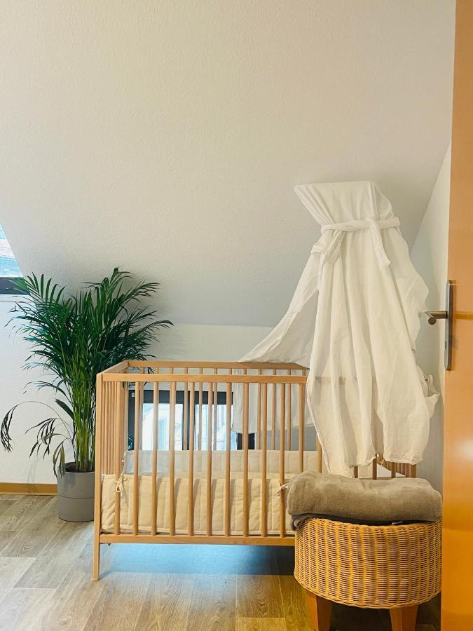 P6 - Familienwohnung Am Park Und Saale Галль Экстерьер фото